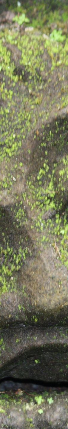 阿尔玛美术馆-巴厘岛