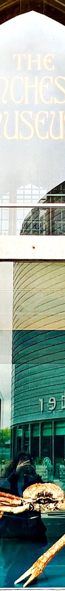 曼彻斯特博物馆-曼彻斯特