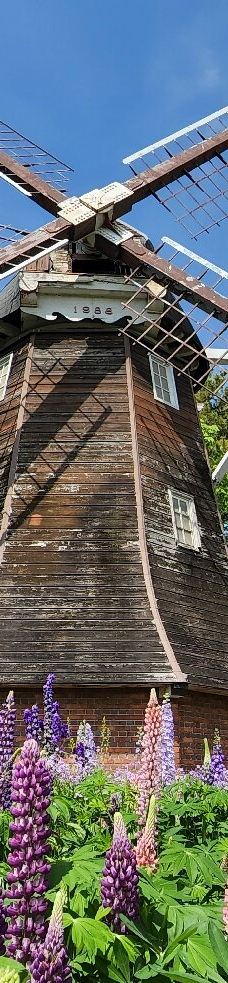 名城公园-名古屋