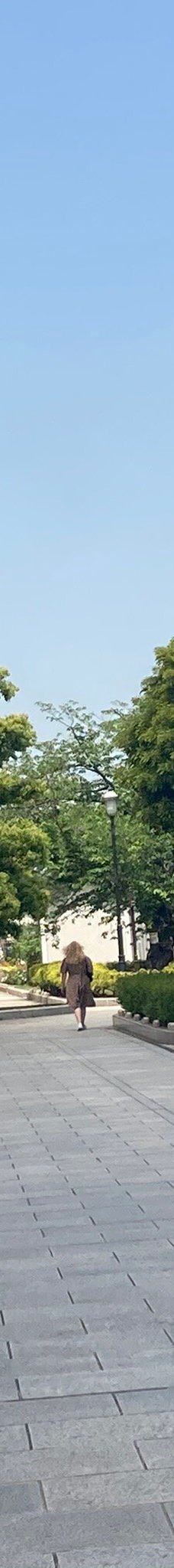 Verny Park-横须贺市