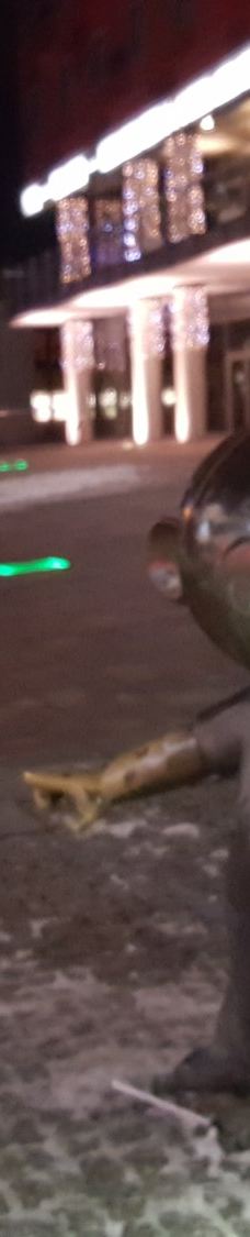 Monument Bolek and Lolek-别尔斯克 比亚瓦