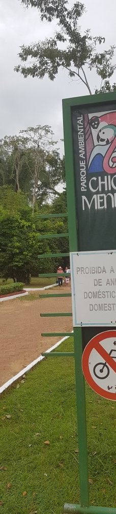 Parque Ambiental Chico Mendes-里奥布朗库