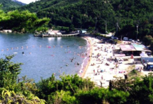 Desaki Dog Beach景点图片