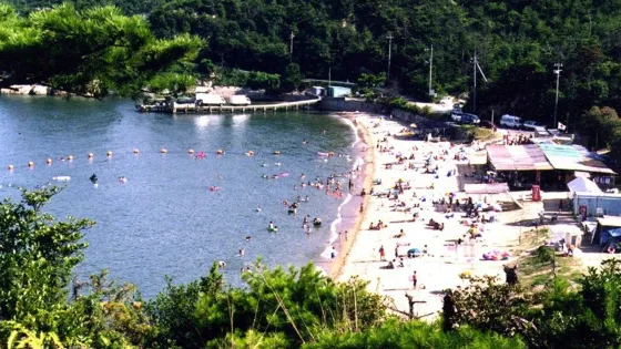 Desaki Dog Beach