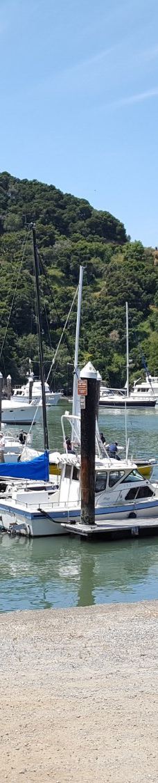 安琪儿岛-蒂伯龙