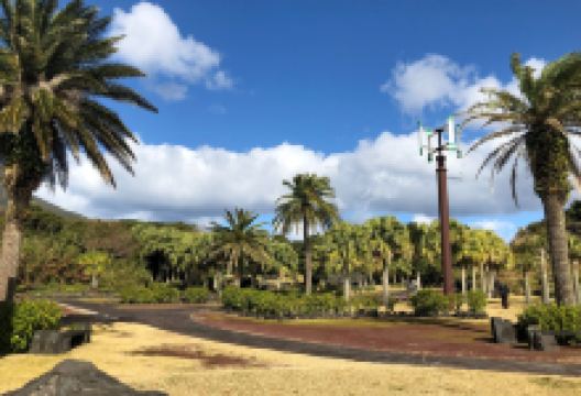 八丈植物公园景点图片