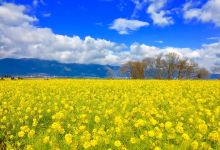 第一海滨公园景点图片