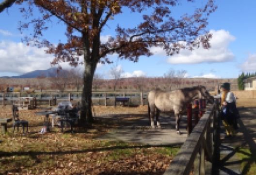 National Park Kokonoe Yamanami Ranch景点图片