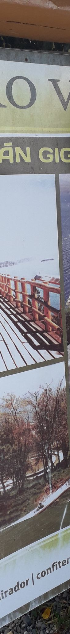 Parque Ecoturistico Cerro Viejo-圣卡洛斯-德巴里洛切