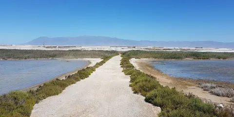 Parque Natural Punta Entinas