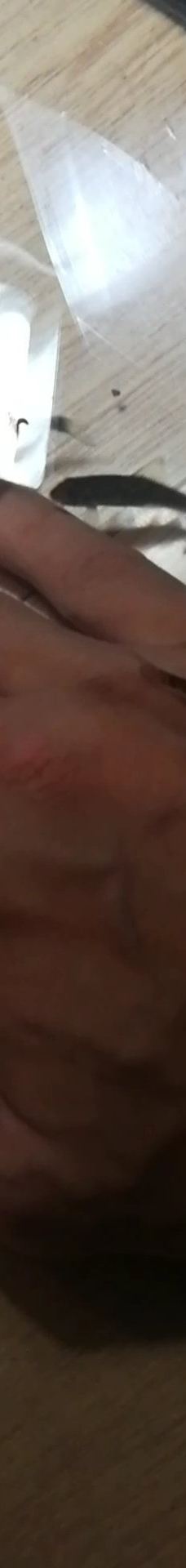 八户市水产科学馆Marient-八户