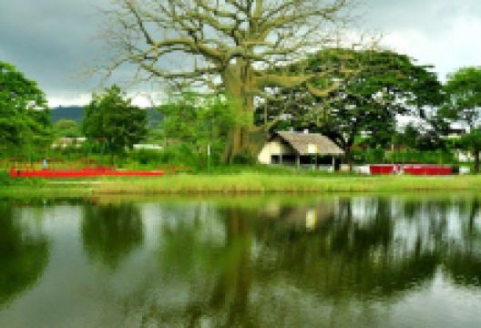 Parque Forestal景点图片