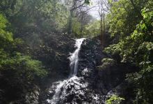 Diria National Park景点图片