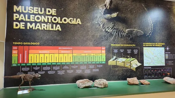 Paleontologia de Marilia Museum