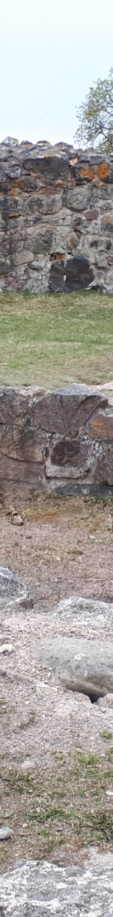 Kuusisto Bishop's Castle-卡里纳