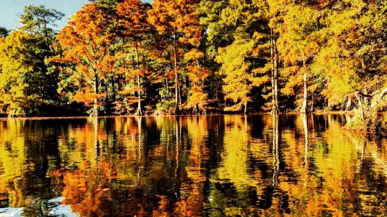 Lake Lawson/Lake Smith Natural Area