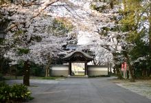 天岑寺景点图片