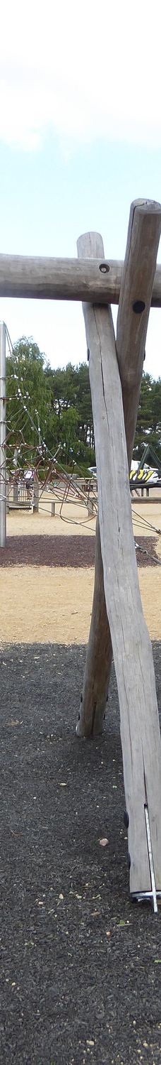 Avon Heath Country Park-圣艾夫斯