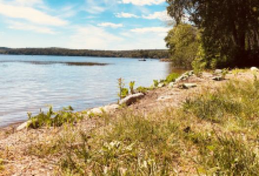 Damariscotta Lake State Park景点图片