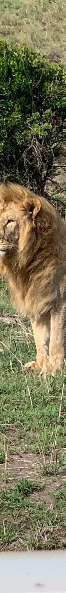 Adventure Africa Expedition-内罗毕