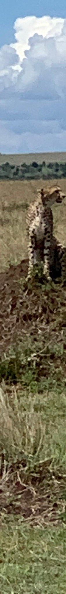 Adventure Africa Expedition-内罗毕