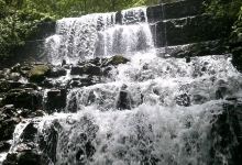 Yacambu National Park景点图片