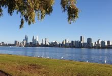 McCallum Park景点图片