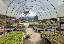 Viveros y Jardines El Eden购物图片