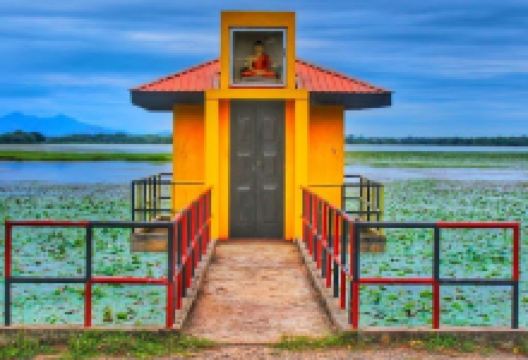 Detagamuwa Tank View Point景点图片