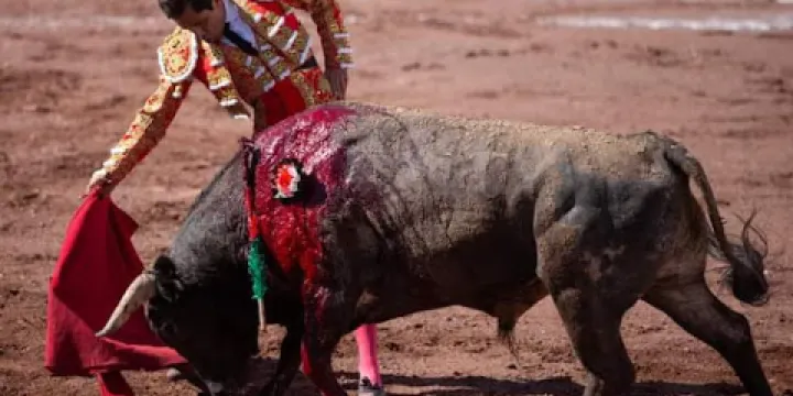 Plaza de Toros Torreon