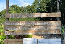 Lilla Odlingen i Södersätra景点图片
