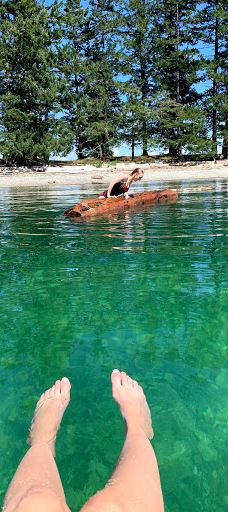 Rebecca Spit Marine Provincial Park-奎德拉岛