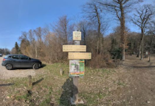 Parking Communal Forest of Thonon景点图片