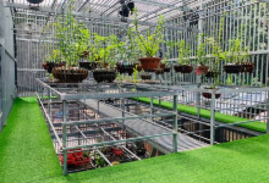 Vườn Lan Ngọc Thoả景点图片