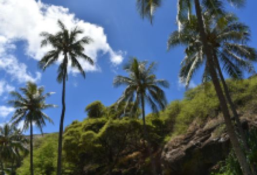 Kapolei Regional Park景点图片