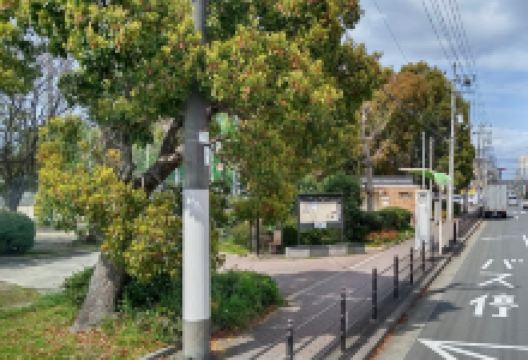 Namazue Park景点图片