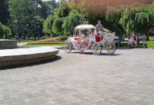 Spomenik Draganu Nikoliću景点图片