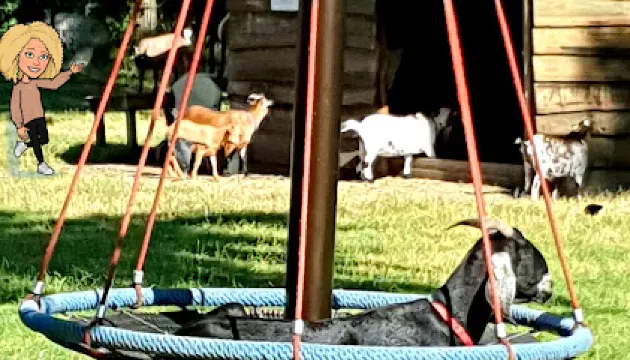 Kinderboerderij Minnebeek