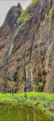 Vaipō Waterfall-努库希瓦岛