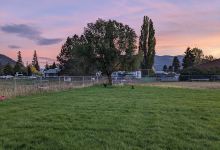 Hellgate Lions Park景点图片