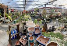 Mosgiel Garden Place购物图片