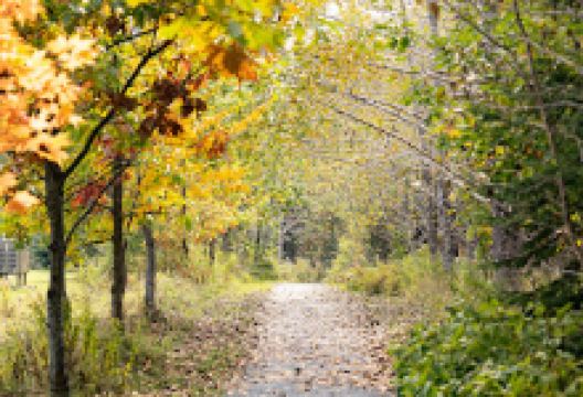Sentier de la Haute Etchemin景点图片