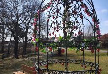 Magda Szabó recreation park, Szilasliget景点图片