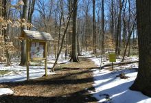 Airdrie Forest Preserve East景点图片