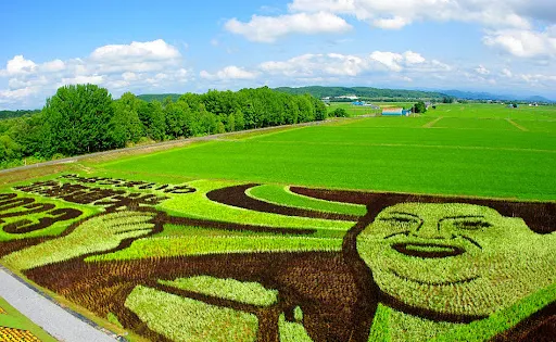 Tambo Art