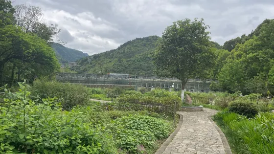 重慶葯用植物園