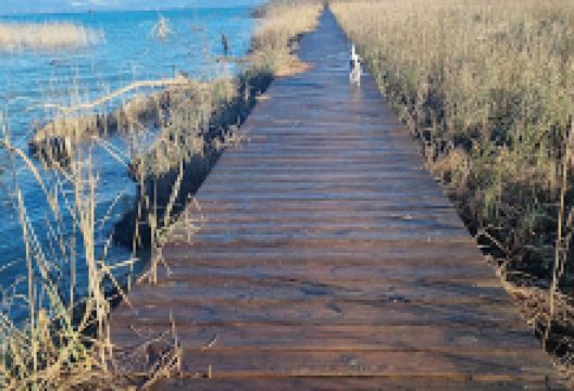 Passerelle, Grèves de la Motte景点图片