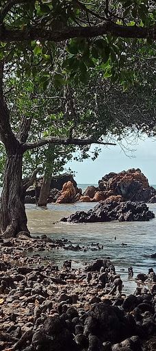 Pantai Tanjung Balau-Pantai Timur