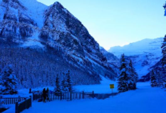 Art Of Man Gallery景点图片