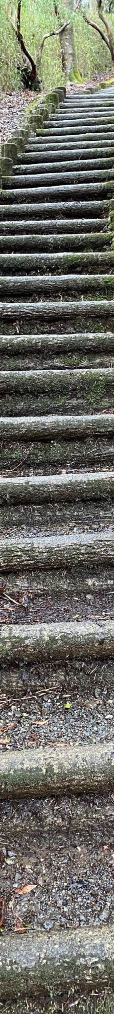 恩赐箱根公园-箱根